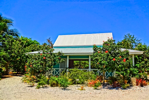 Naples Botanical Garden: A Tropical Escape You Should Add to Your Florida Bucket List