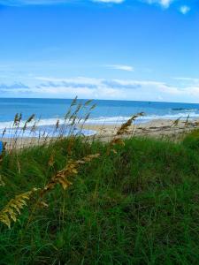 Sand Dunes at Ocean Pointe