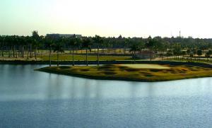 Golf Course View from Our Balcony at Marriott Doral
